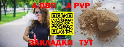 гашик Камышлов