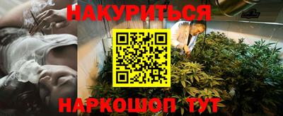 гашик Камышлов