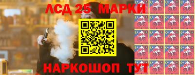 гашик Камышлов
