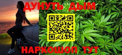 гашик Камышлов
