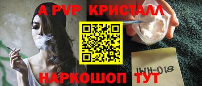 гашик Камышлов