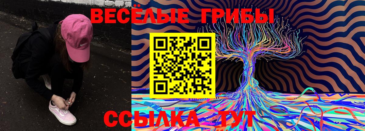 Псилоцибиновые грибы мухоморы  даркнет сайт  Вход с VPN  Кисловодск  Псилоцибиновые грибы Psilocybine cubensis 